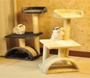 日用百貨 日常生活中的全方位貼心伴侶